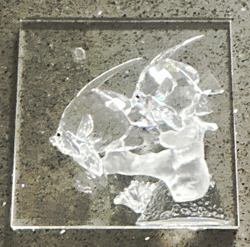 Swarovski wonders the sea - wonders,